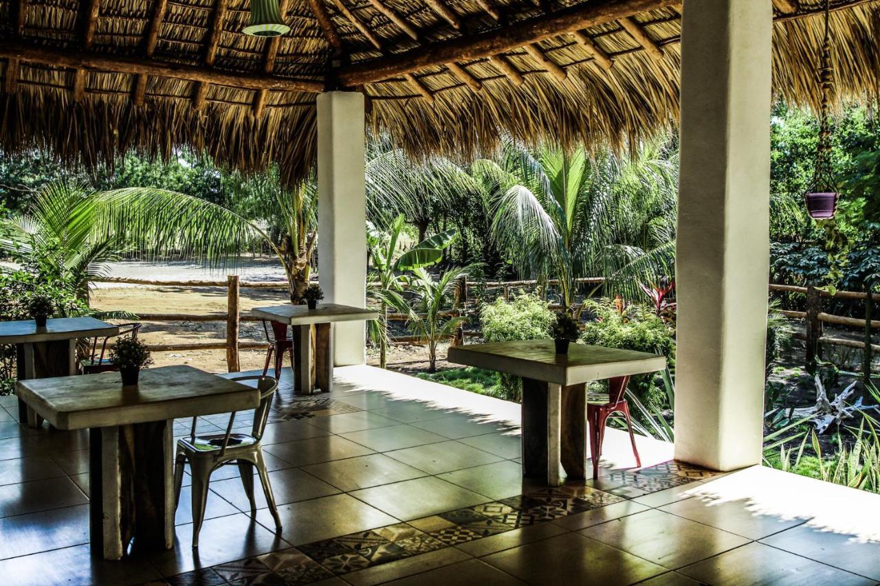 Dunas Surf Lodge *