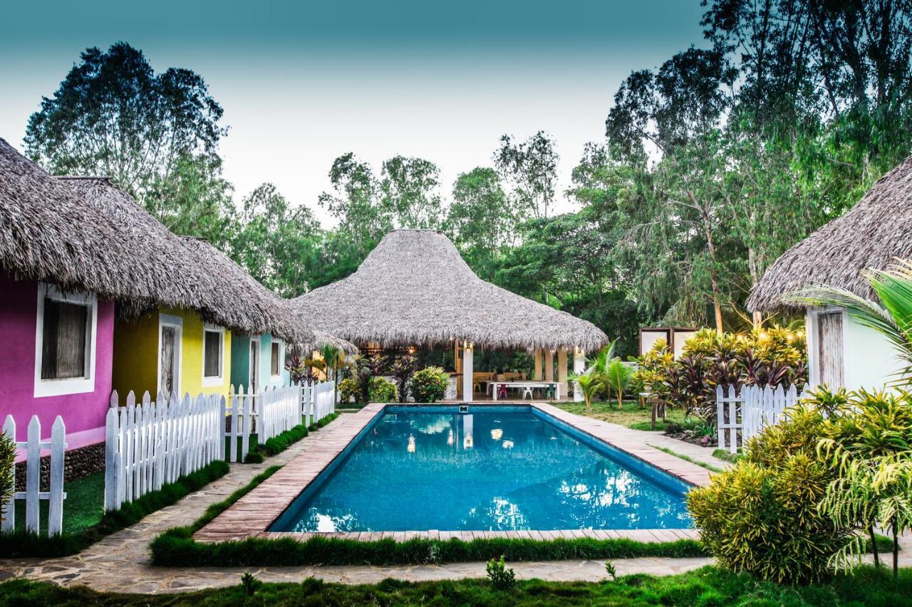 Lodge Dunas Surf *