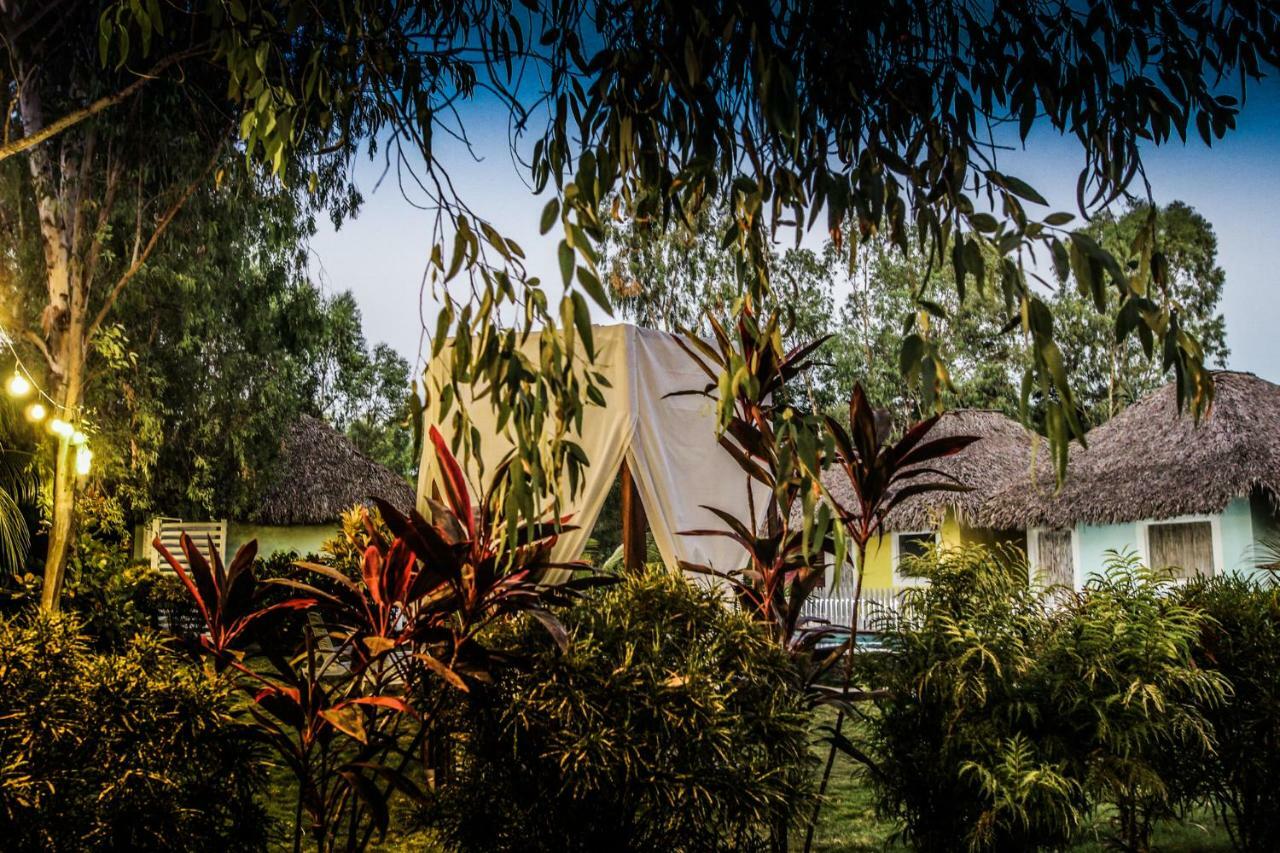 Dunas Surf Lodge *