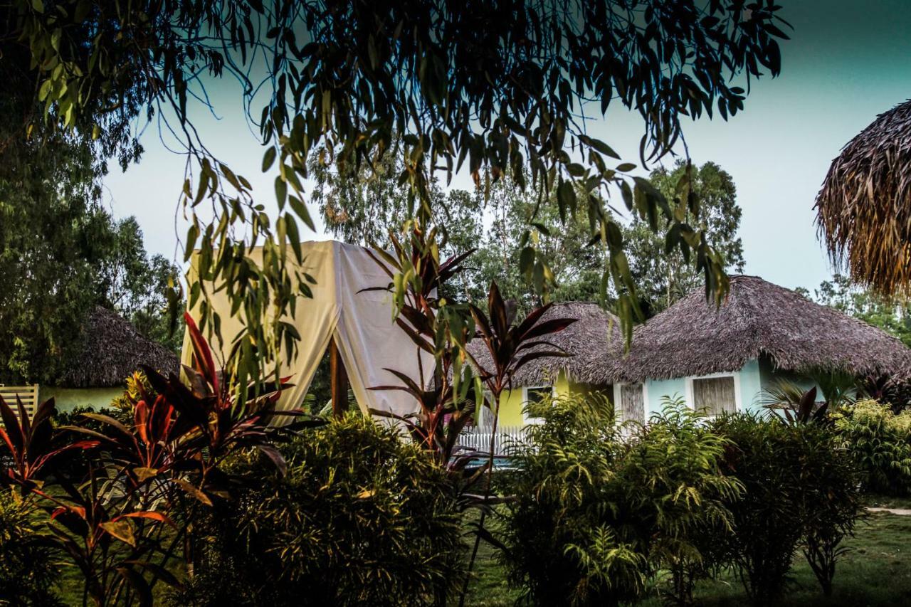 Dunas Surf Lodge *